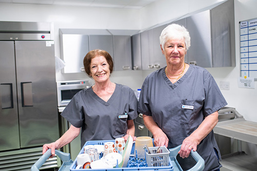 Hospice Volunteers