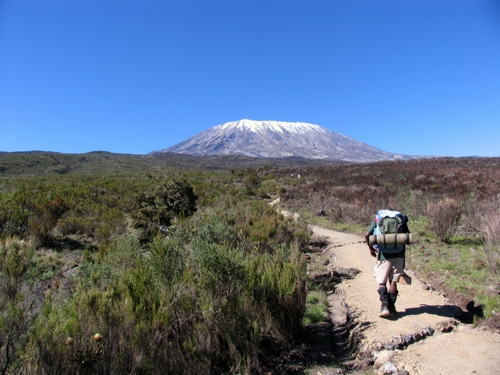 A climber trekking towards Kilimanjaro