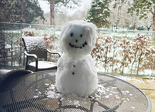 Nicola's snowman