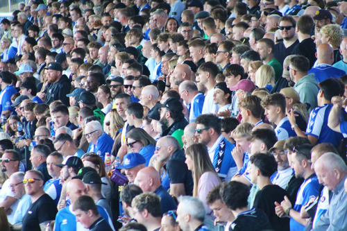 Sea of Blue