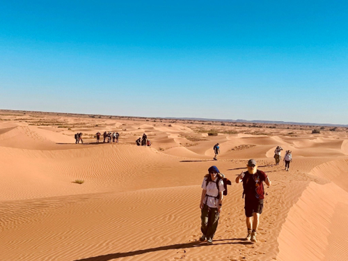 Our Trekkers walking in the desert