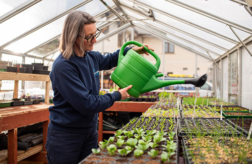 Anneke watering plants