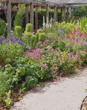 Hospice Open Gardens